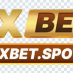 Foto del perfil de OXBET OXBET