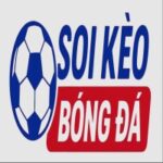 Foto del perfil de Soikeobongda07 com