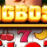 Foto del perfil de bigboss bigboss