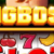 Foto del perfil de bigboss bigboss