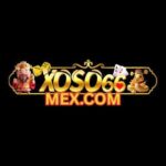 Foto del perfil de xoso66mexcom