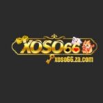Foto del perfil de XOSO66 ZA
