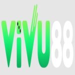 Foto del perfil de vivu88