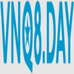 Foto del perfil de VNQ8 Day