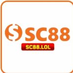 Foto del perfil de SC88