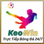 Foto del perfil de KeoWin: Tỷ Lệ Kèo Cực Cao