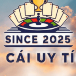 Foto del perfil de baolocphongthuy com