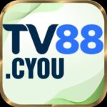 Foto del perfil de tv88cyou