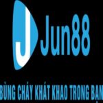 Foto del perfil de JUN88