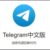 Foto del perfil de 电报中文版