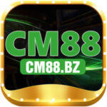 Foto del perfil de SC88