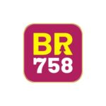 Foto del perfil de br758