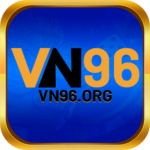Foto del perfil de vn96org