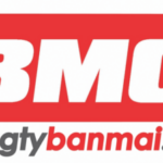 Foto del perfil de CÔNG TY BAN MAI