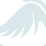 Foto del perfil de chim canh quy tran