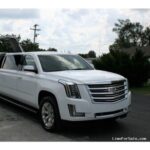 Foto del perfil de Party Bus For Bachelorette Party New Jersey