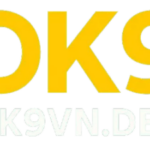 Foto del perfil de ok9vndev ok9vndev