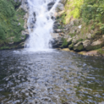 Foto del perfil de TV PALM