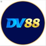 Foto del perfil de DV88