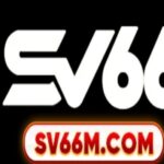Foto del perfil de SV66 Casino