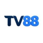 Foto del perfil de tv88bz