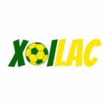 Foto del perfil de Xoilac TV – Xem Bóng Đá Trực Tuyến | Trực Tiếp, Lịch Thi Đấu & Soi Kèo