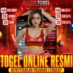 Foto del perfil de ALEXISTOGEL