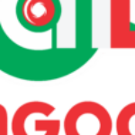 Foto del perfil de Châu Ngọc Long Technology