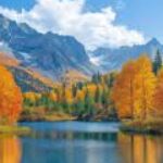 Foto del perfil de Anjani Sharma