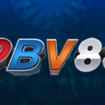 Foto del perfil de PBV88 3E