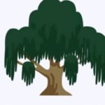 Foto del perfil de willow flooring