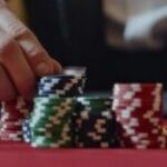 Foto del perfil de Laura Cristina Ribeiro de Sousa