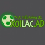 Foto del perfil de xoilacaddd