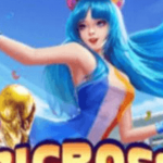 Foto del perfil de bigboss bigboss