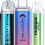 Foto del perfil de rocco leo