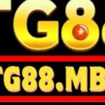 Foto del perfil de TG88 mba