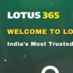 Foto del perfil de lotus