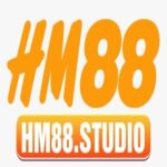 Foto del perfil de Hm88 studio