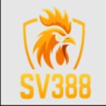 Foto del perfil de Sv388vm com