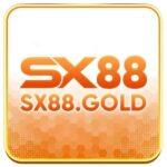 Foto del perfil de SX88