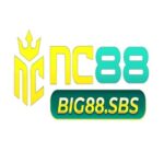 Foto del perfil de NC88