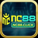 Foto del perfil de NC88