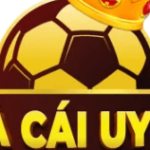 Foto del perfil de nhacaiuytin Top WEB uy tín