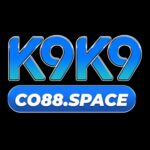 Foto del perfil de K9K9