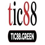 Foto del perfil de TIC88