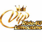 Foto del perfil de vip ridesforyou