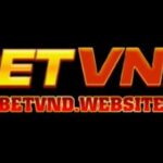 Foto del perfil de betvnd website
