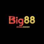 Foto del perfil de big88 design