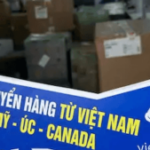 Foto del perfil de VietCargo Logictis