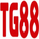 Foto del perfil de Nhà Cái TG88